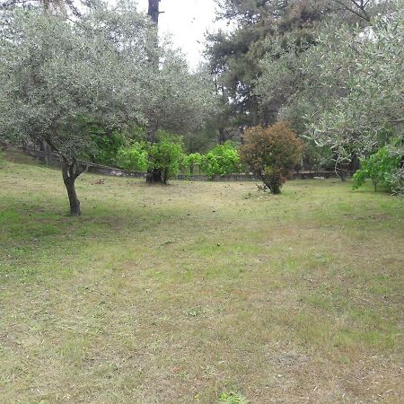 Villa Leo Glykadi Buitenkant foto